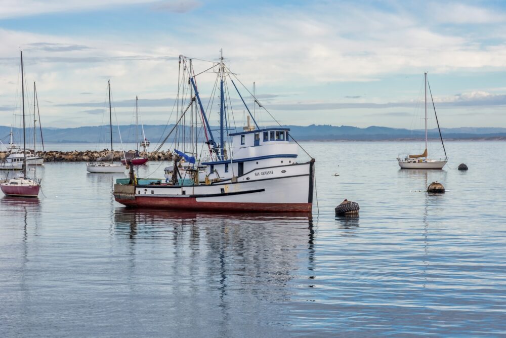 Ayudas del GALP Mar de l’Ebre en el marco del Fondo Europeo Marítimo y de la Pesca