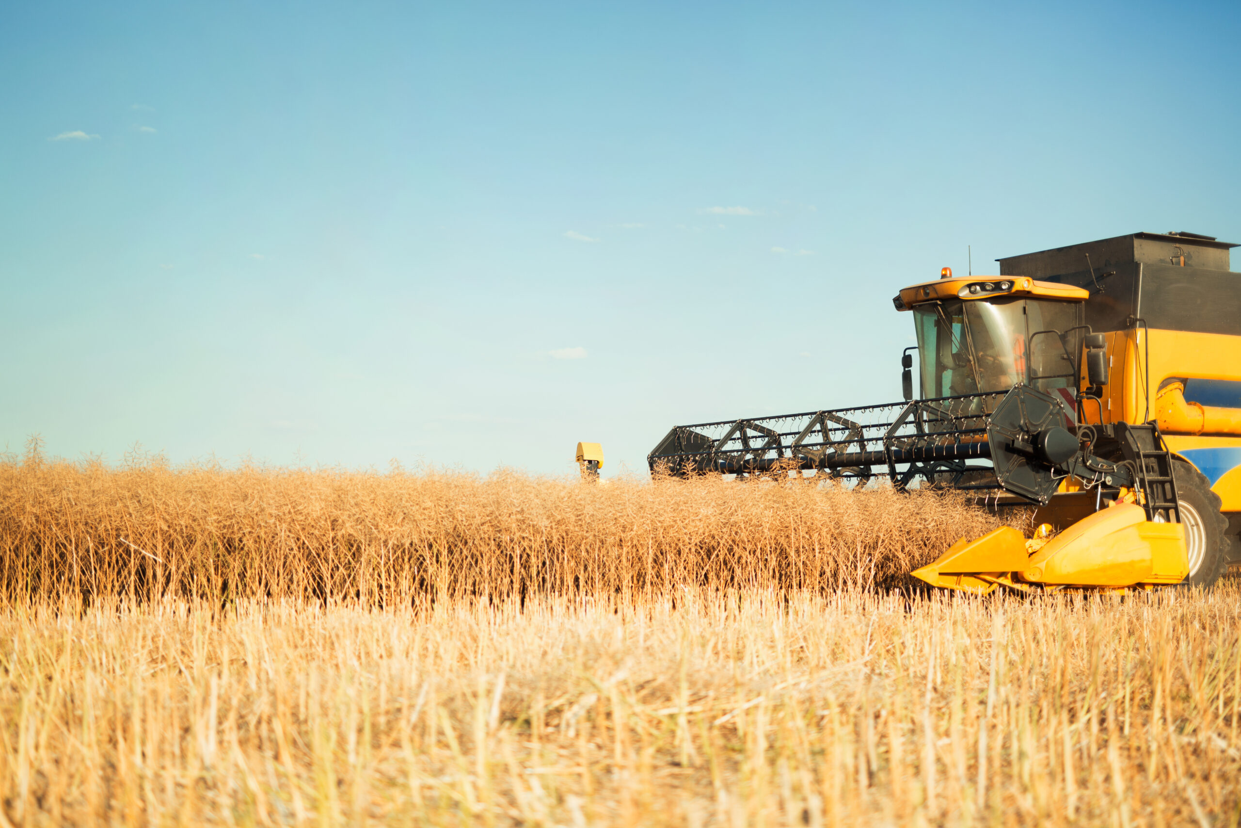 Estudio detallado de Ayudas y Subvenciones para el sector agrícola y ganadero 2025