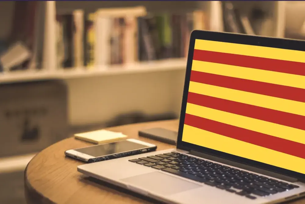 Subvencions per al foment del català en l’àmbit digital (PLG002 2025)