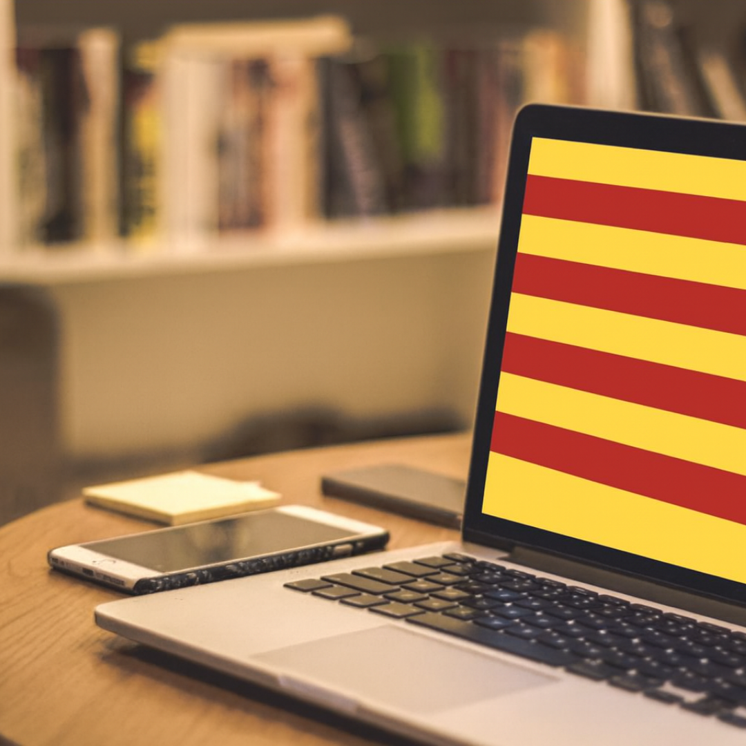 ACCIÓ. Subvencions per a canvi estratègic i creixement
