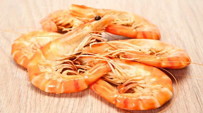 Ajuts al desenvolupament local participatiu (GALP Mar de l’Ebre) FEMPA 2023-2028 – Convocatòria 2026