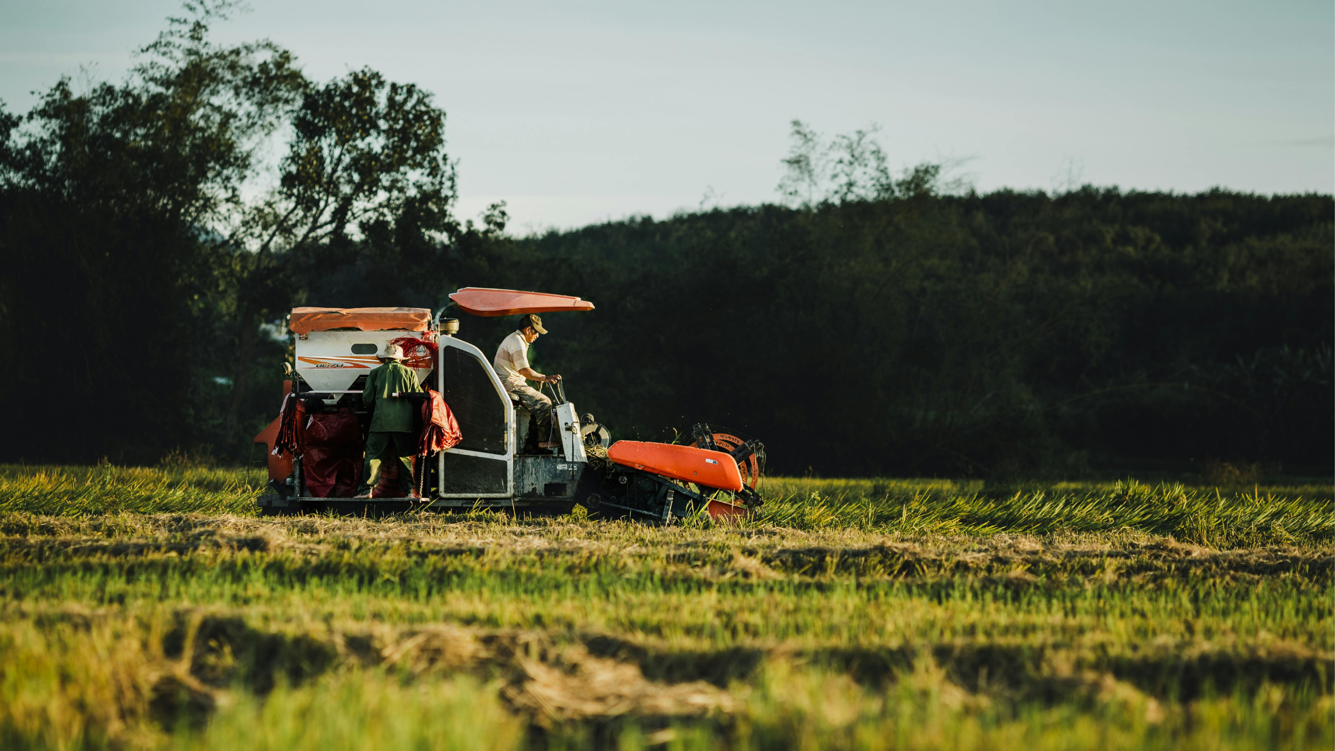 Ayudas 2026 para la incorporación de jóvenes y nuevos agricultores en la Comunitat Valenciana