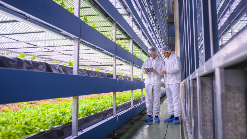 Ayudas 2026 para inversiones en industrias agroalimentarias en Aragón